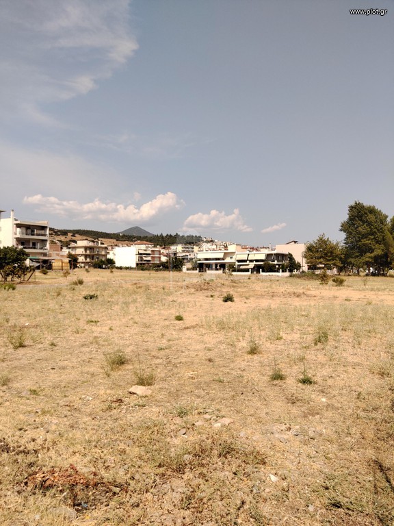 Οικόπεδο 525 τ.μ. για πώληση, Φθιώτιδας, Λαμία