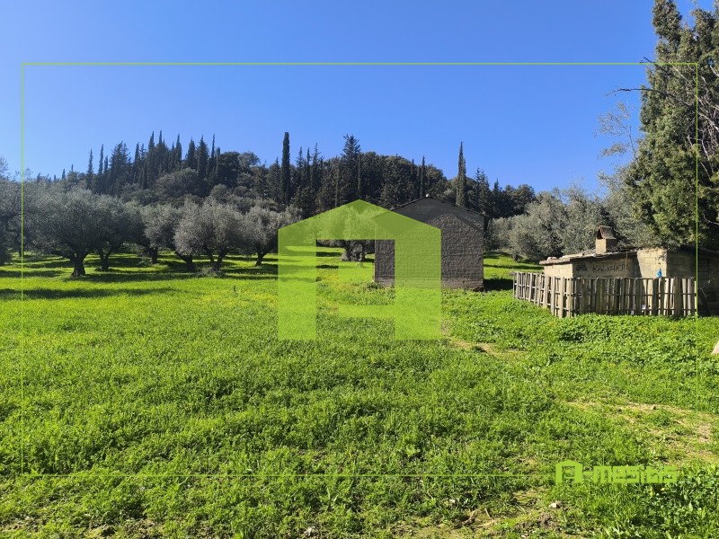 Οικόπεδο 8.800 τ.μ. για πώληση, Αχαΐα, Μεσσατίδα