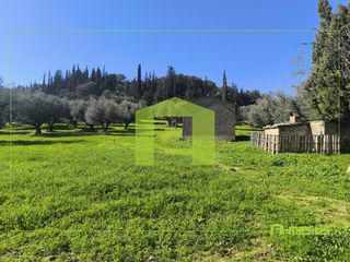 Οικόπεδο 8.800 τ.μ. για πώληση