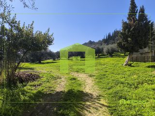 Οικόπεδο 8.800 τ.μ. για πώληση, Αχαΐα, Μεσσατίδα-thumb-9