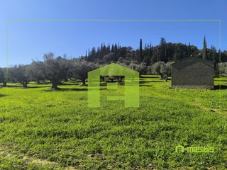 Οικόπεδο 8.800 τ.μ. για πώληση, Αχαΐα, Μεσσατίδα-thumb-2