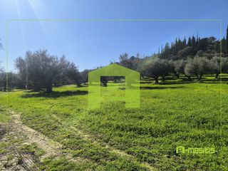 Οικόπεδο 8.800 τ.μ. για πώληση, Αχαΐα, Μεσσατίδα-thumb-10