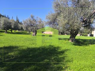Οικόπεδο 8.800 τ.μ. για πώληση, Αχαΐα, Μεσσατίδα-thumb-23