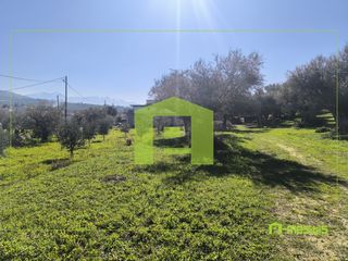 Οικόπεδο 8.800 τ.μ. για πώληση, Αχαΐα, Μεσσατίδα-thumb-12