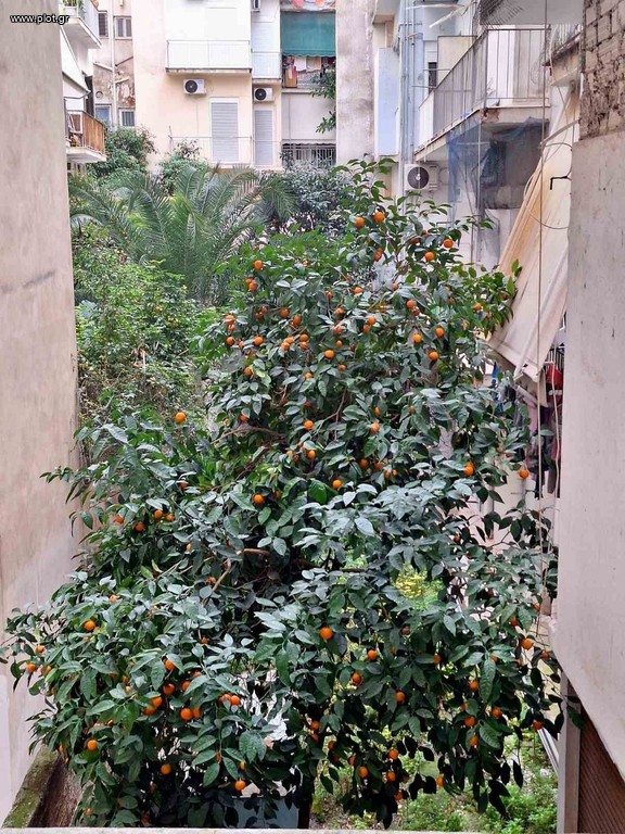 Διαμέρισμα 70 τ.μ. πρός πώληση, Αθήνα - Κέντρο, Κυψέλη