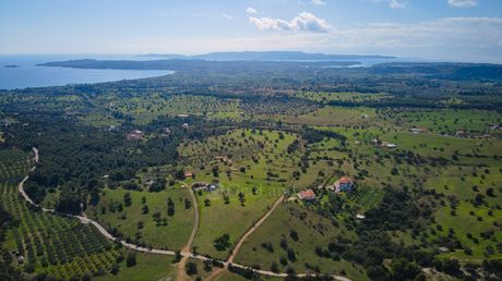 Οικόπεδο 15.000τ.μ. για πώληση-Κρανίδι » Κέντρο
