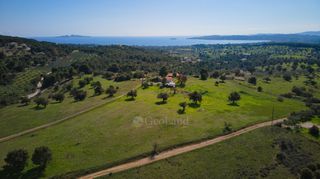 Οικόπεδο 15.000 τ.μ. για πώληση, Αργολίδα, Κρανίδι-thumb-14