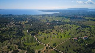 Οικόπεδο 15.000 τ.μ. για πώληση, Αργολίδα, Κρανίδι-thumb-9