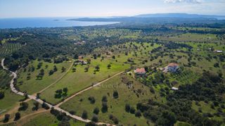 Οικόπεδο 15.000 τ.μ. για πώληση, Αργολίδα, Κρανίδι-thumb-6