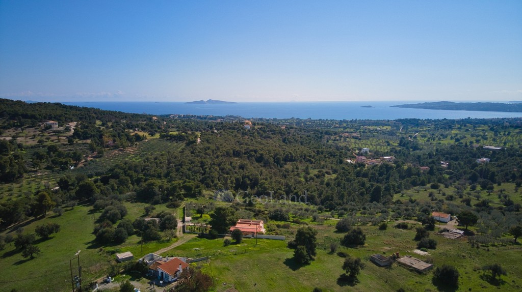 Οικόπεδο 15.000 τ.μ. προς πώληση, Αργολίδα, Κρανίδι