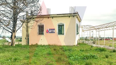 Επιχειρηματικό κτίριο 270τ.μ. για πώληση-Αλμυρός » Νέος πλάτανος