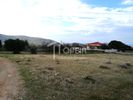 Land plot 1.015sqm for sale-Kalivia Thorikou » Lagonisi
