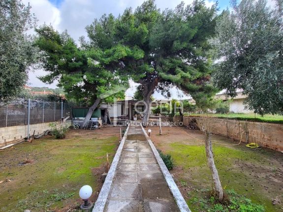 Οικόπεδο 1.050 τ.μ. για πώληση, Αθήνα - Ανατολικά Προάστια, Κορωπί