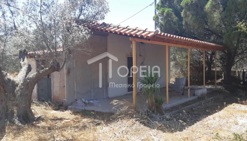Μονοκατοικία 40 τ.μ. πρός πώληση, Αττική - Υπόλοιπο, Καλύβια Θορικού