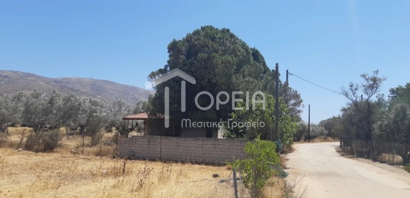 Μονοκατοικία 40 τ.μ. πρός πώληση, Αττική - Υπόλοιπο, Καλύβια Θορικού