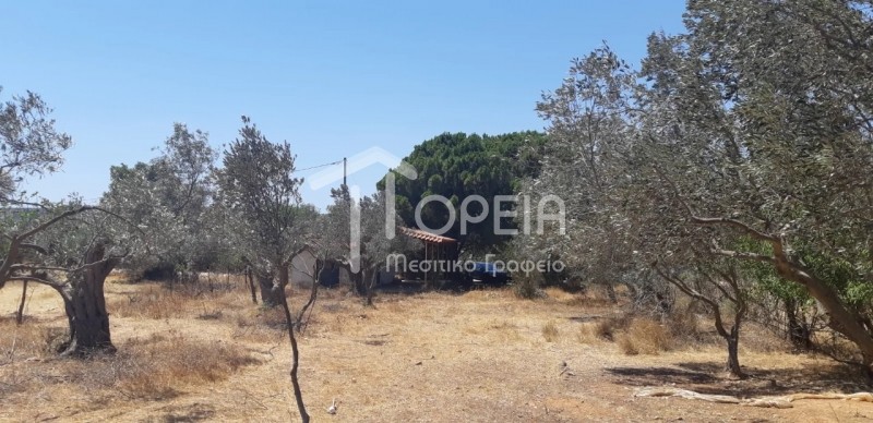 Μονοκατοικία 40 τ.μ. πρός πώληση, Αττική - Υπόλοιπο, Καλύβια Θορικού
