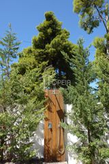 Βίλλα 400 τ.μ. προς πώληση, Αττική - Υπόλοιπο, Σαρωνίδα-thumb-14