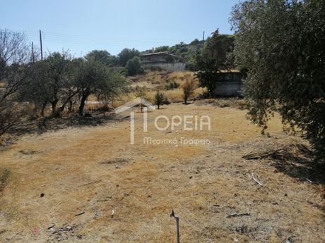 Οικόπεδο 480 τ.μ. για πώληση