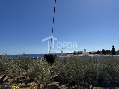 Μονοκατοικία 67 τ.μ. για πώληση