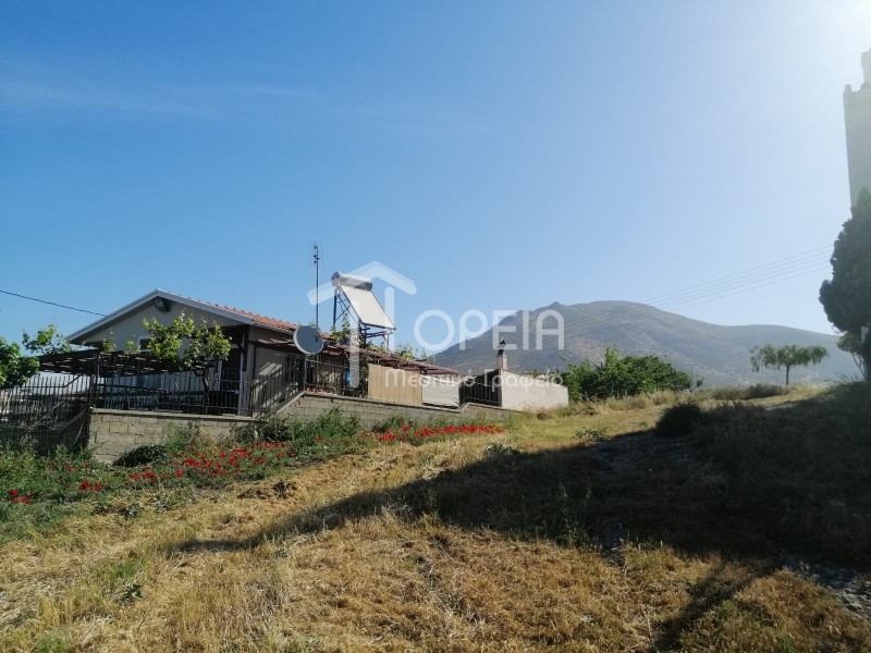 Οικόπεδο 600 τ.μ. πρός πώληση, Αττική - Υπόλοιπο, Καλύβια Θορικού