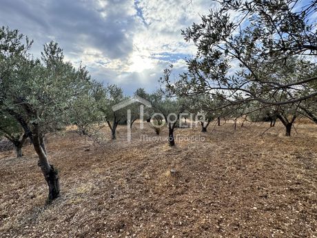 Οικόπεδο 2.300 τ.μ. για πώληση