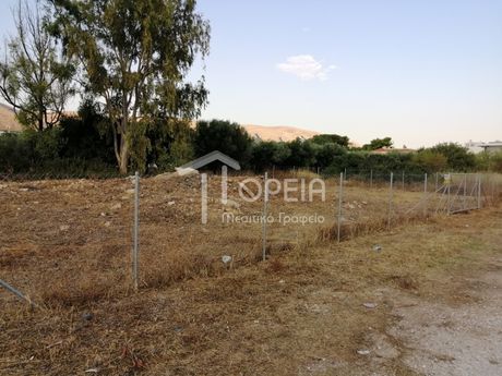 Land plot 772sqm for sale-Kalivia Thorikou » Lagonisi