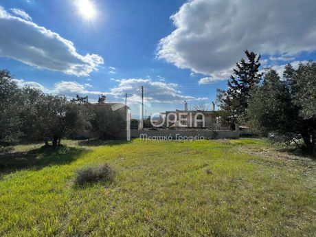 Land plot 700sqm for sale-Kalivia Thorikou » Lagonisi
