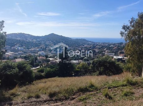 Land plot 1.300sqm for sale-Koropi » Agia Marina