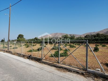 Land plot 9.000sqm for sale-Kalivia Thorikou » Lagonisi