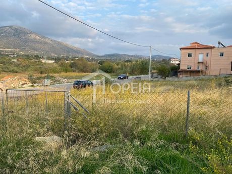 Land plot 1.145sqm for sale-Kalivia Thorikou » Κέντρο