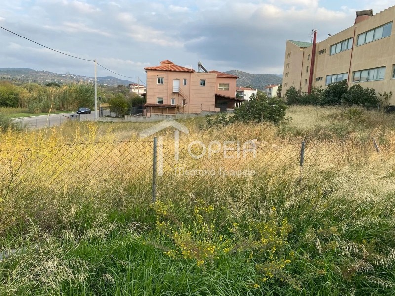 Οικόπεδο 1.145 τ.μ. πρός πώληση, Αττική - Υπόλοιπο, Καλύβια Θορικού