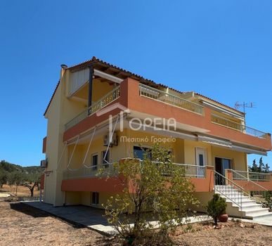 Μονοκατοικία 314τ.μ. για πώληση-Κερατέα » Αρί