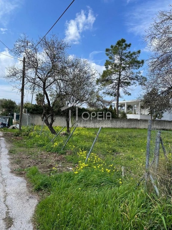 Οικόπεδο 1.000 τ.μ. πρός πώληση, Αττική - Υπόλοιπο, Καλύβια Θορικού