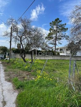 Land plot 1.000sqm for sale-Kalivia Thorikou » Lagonisi