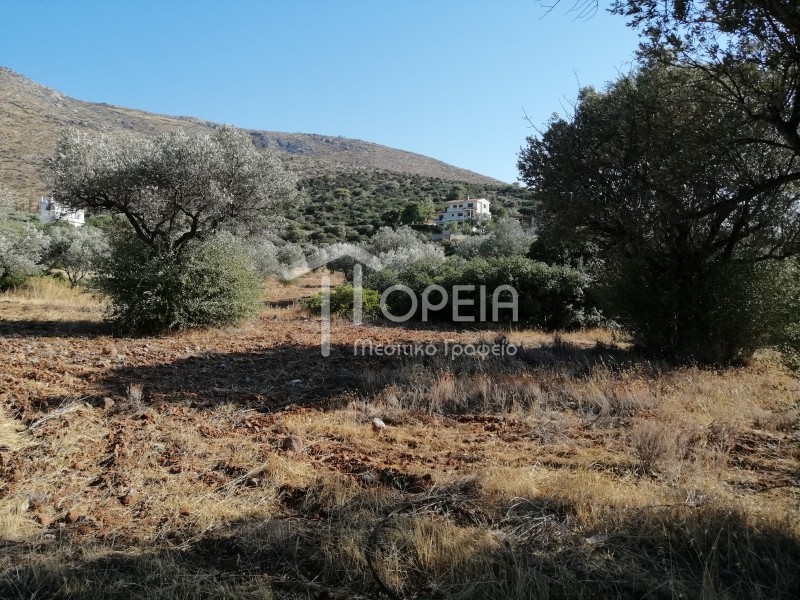 Οικόπεδο 5.500 τ.μ. πρός πώληση, Αττική - Υπόλοιπο, Καλύβια Θορικού
