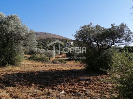 Land plot 5.500sqm for sale-Kalivia Thorikou » Κέντρο