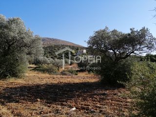 Οικόπεδο 5.500 τ.μ. για πώληση