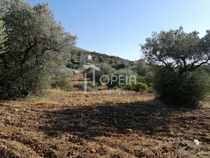 Οικόπεδο 5.500 τ.μ. πρός πώληση, Αττική - Υπόλοιπο, Καλύβια Θορικού