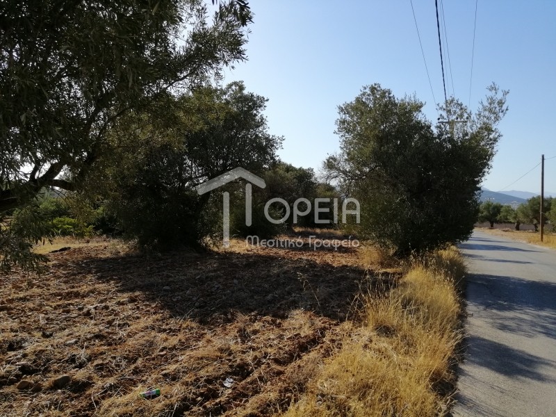 Οικόπεδο 5.500 τ.μ. πρός πώληση, Αττική - Υπόλοιπο, Καλύβια Θορικού
