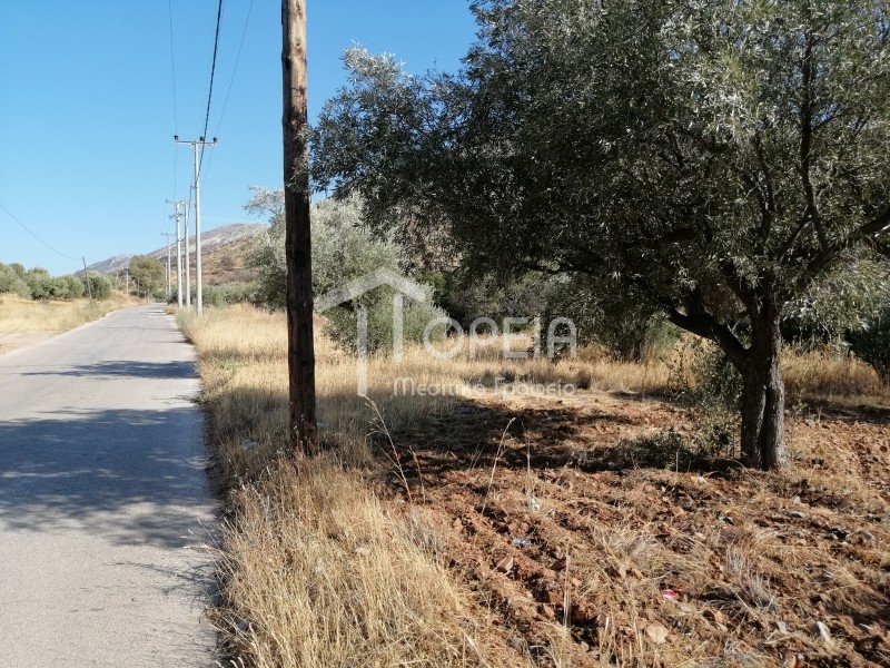 Οικόπεδο 5.500 τ.μ. πρός πώληση, Αττική - Υπόλοιπο, Καλύβια Θορικού