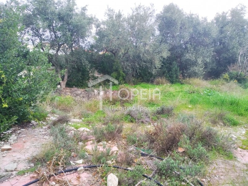 Οικόπεδο 718 τ.μ. πρός πώληση, Αττική - Υπόλοιπο, Καλύβια Θορικού