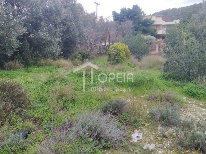 Οικόπεδο 718 τ.μ. πρός πώληση, Αττική - Υπόλοιπο, Καλύβια Θορικού