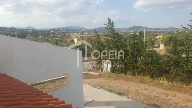 Επιχειρηματικό κτίριο 850 τ.μ. πρός πώληση, Αττική - Υπόλοιπο, Καλύβια Θορικού
