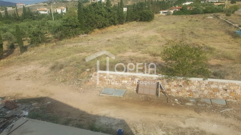 Επιχειρηματικό κτίριο 850 τ.μ. πρός πώληση, Αττική - Υπόλοιπο, Καλύβια Θορικού