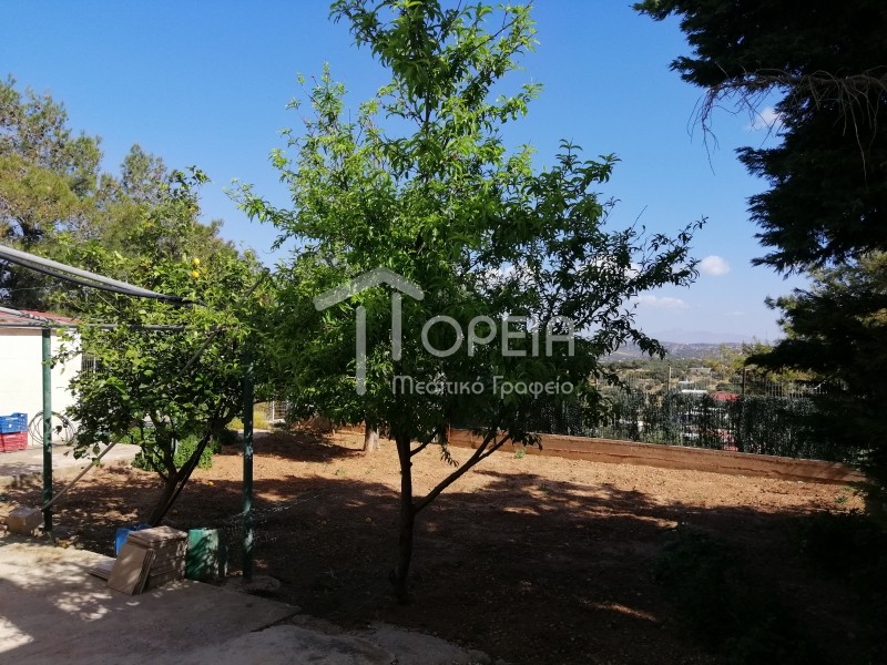 Μονοκατοικία 315 τ.μ. πρός πώληση, Αθήνα - Ανατολικά Προάστια, Κορωπί
