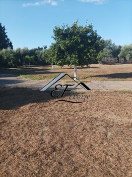 Οικόπεδο 3.500 τ.μ. για πώληση