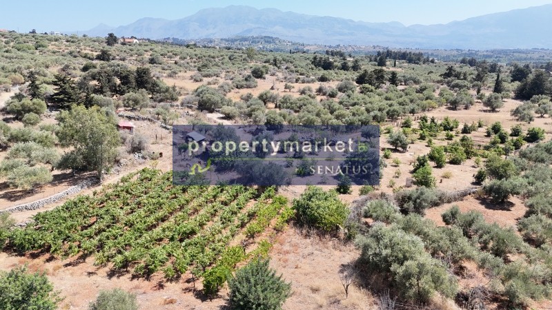 Αγροτεμάχια 2.693 τ.μ. προς πώληση, Κεφαλάς Βάμου