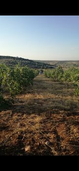 Parcel 3.000 sqm for sale