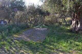 Αγροτεμάχια 4.638 τ.μ. για πώληση, Θεσπρωτία, Σύβοτα-thumb-7