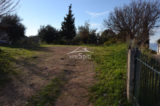 Αγροτεμάχια 4.638 τ.μ. για πώληση, Θεσπρωτία, Σύβοτα-thumb-9